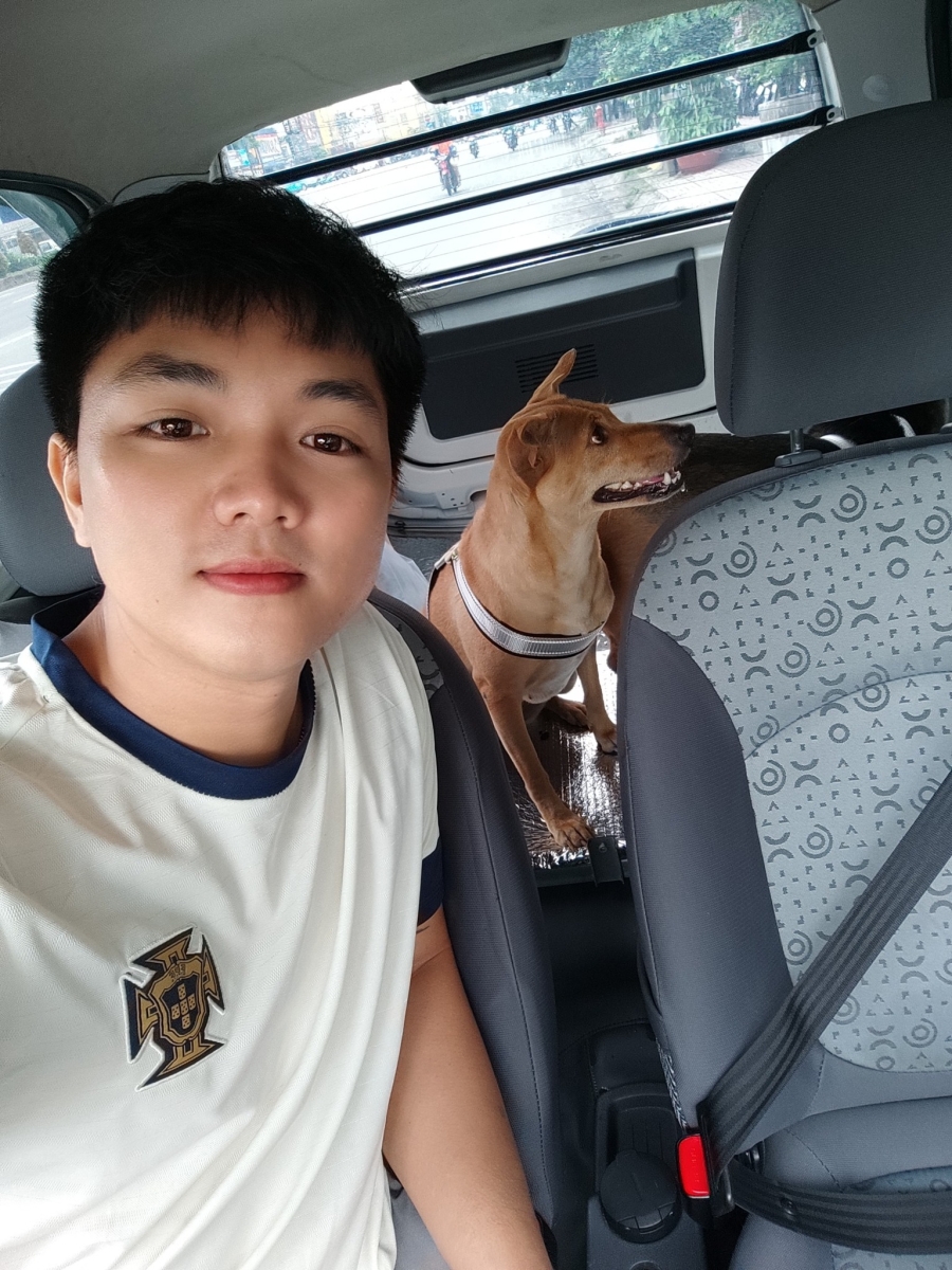 Vận chuyển thú cưng giá rẻ